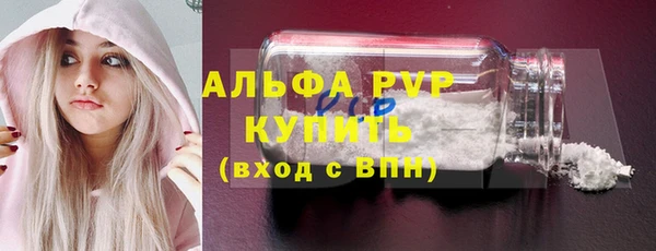 ECSTASY Михайлов
