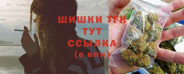 ECSTASY Михайлов