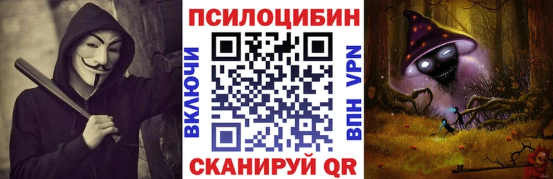 Псилоцибиновые грибы Cubensis Еманжелинск