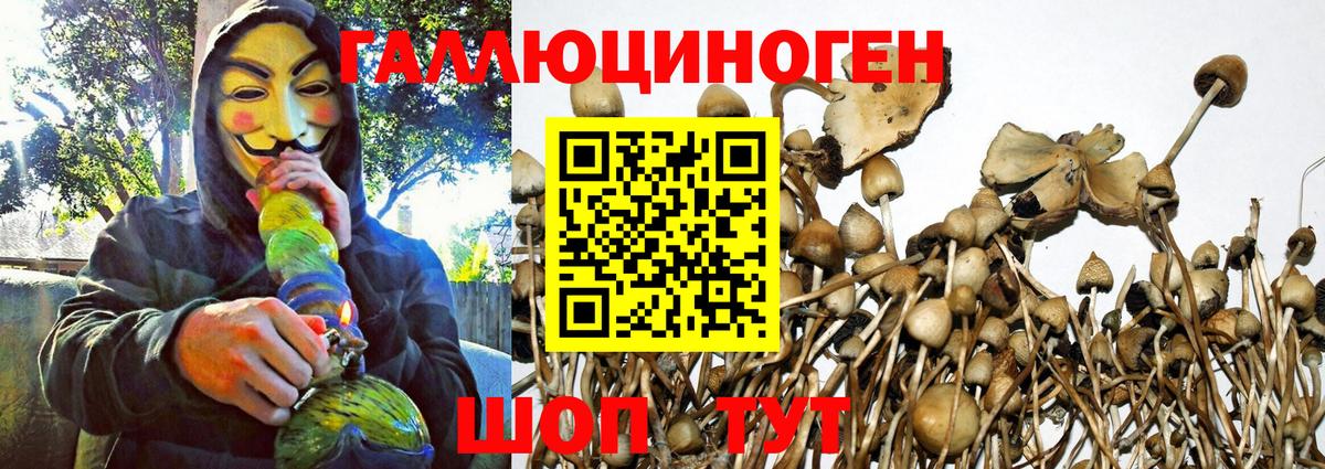 Галлюциногенные грибы GOLDEN TEACHER  Вход с VPN  Псилоцибиновые грибы прущие грибы  Еманжелинск 