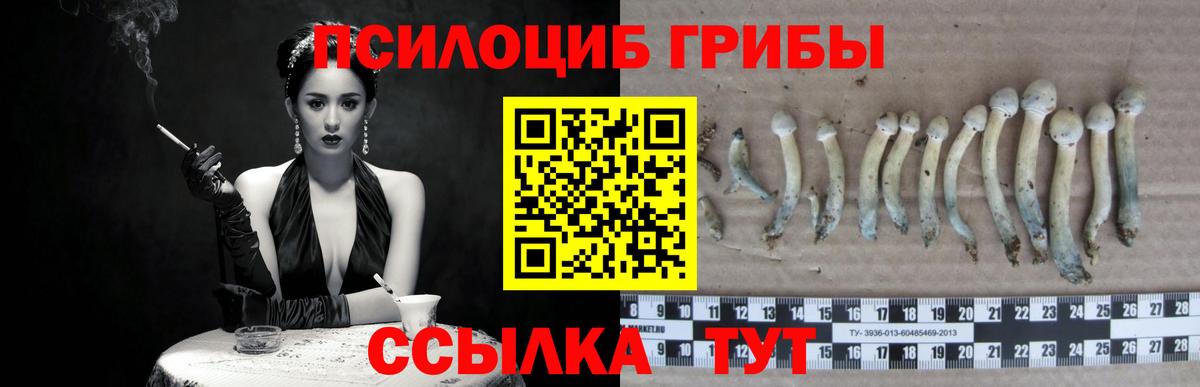 Галлюциногенные грибы MAGIC MUSHROOMS Еманжелинск