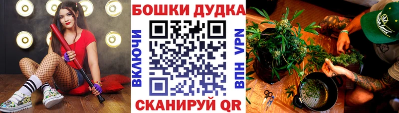 МЕГА как зайти  Еманжелинск  Бошки Шишки план 